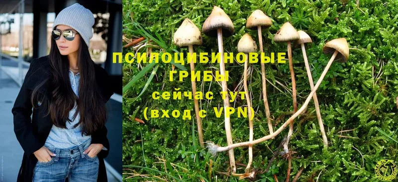 shop официальный сайт  Лиски  Псилоцибиновые грибы MAGIC MUSHROOMS  кракен рабочий сайт 